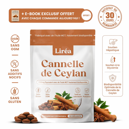 Cannelle de Ceylan