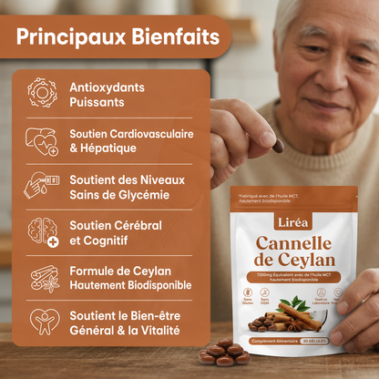 Cannelle de Ceylan