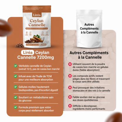 Cannelle de Ceylan