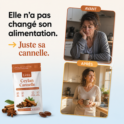 Cannelle de Ceylan